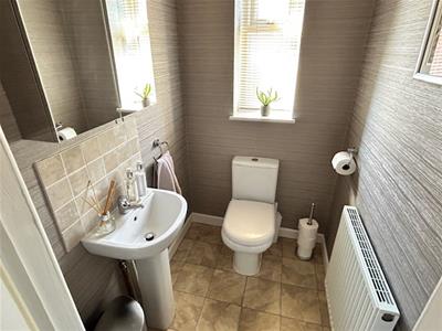 Picture 8